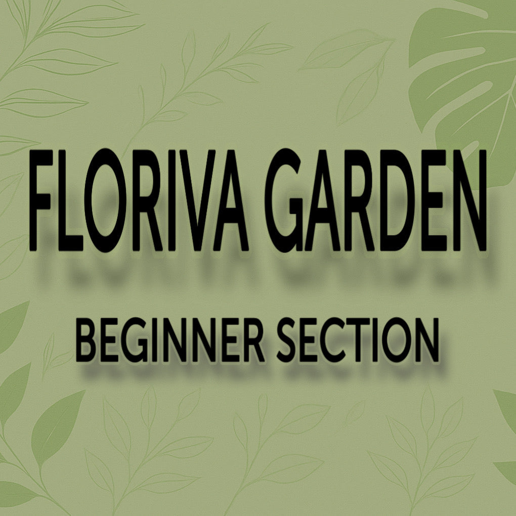 Floriva Garden Beginner Section