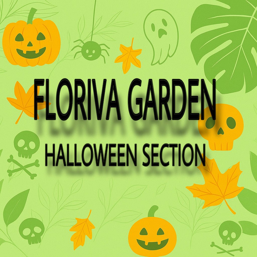 Floriva Garden Halloween Section