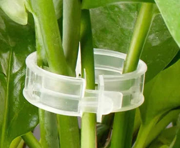 Plastic Plant Support Clips (100-Pack)