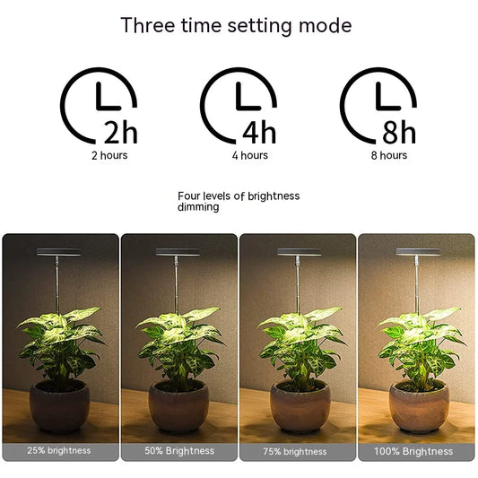 Garden Glow USB Lamp