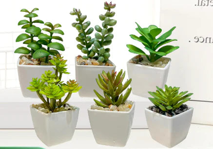 Miniature Faux Succulent Cactus Indoor Plant Pot
