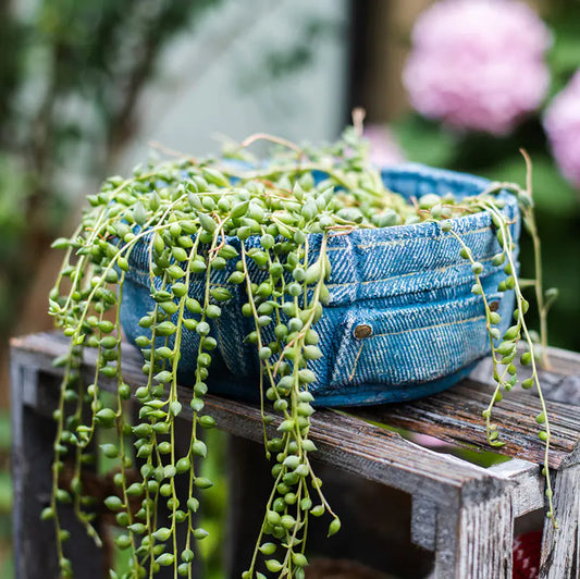 Denim Pocket Planter