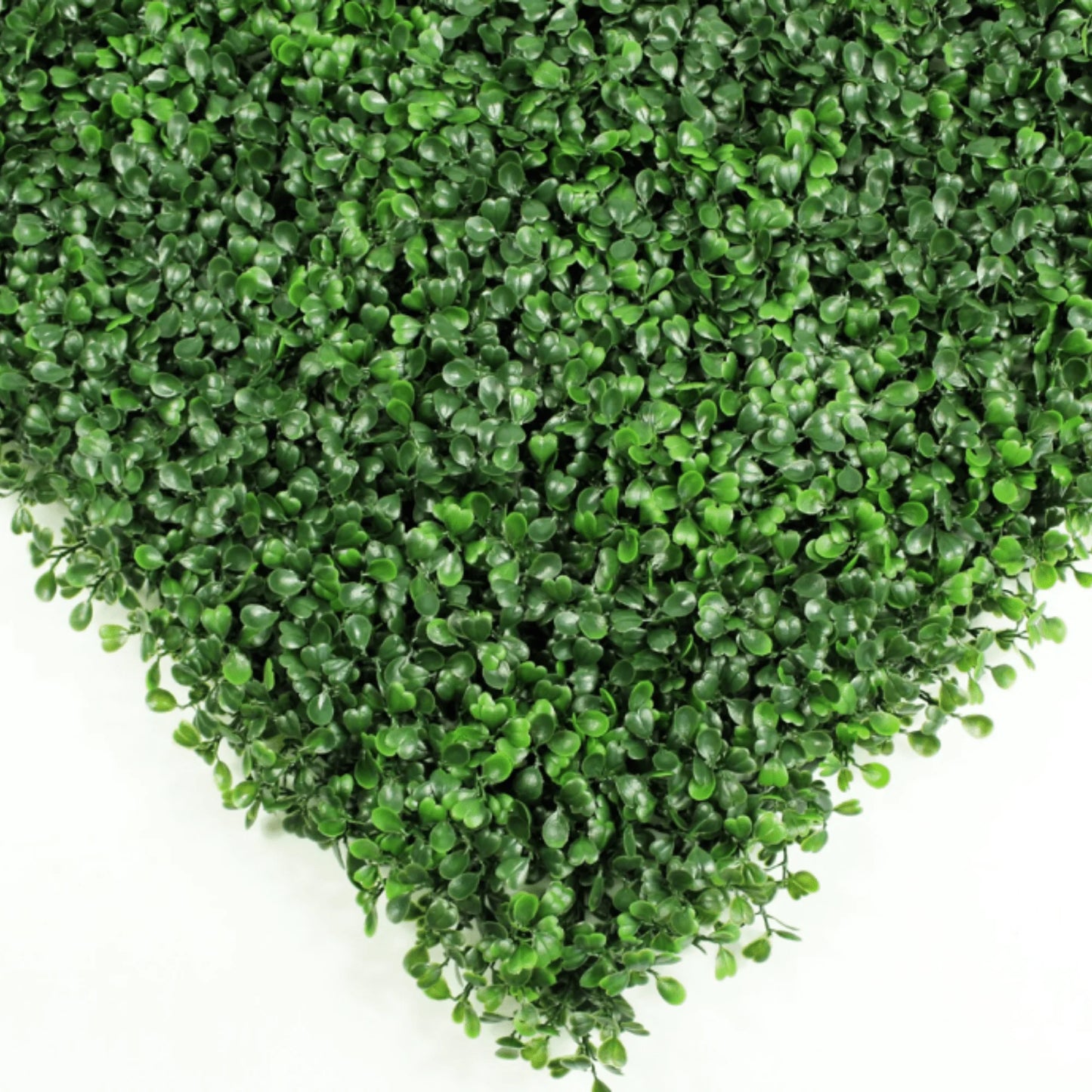 Eternal Green Boxwood Panel 40x40