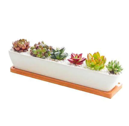 Ceramic Long Succulent Pot