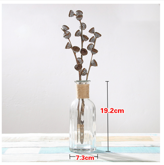 Creative Glass Vase for Home Decor with Plants
