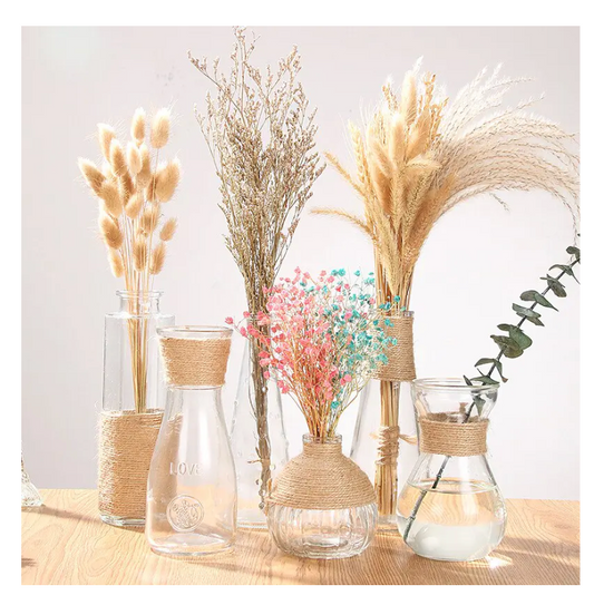 Creative Glass Vase for Home Decor with Plants