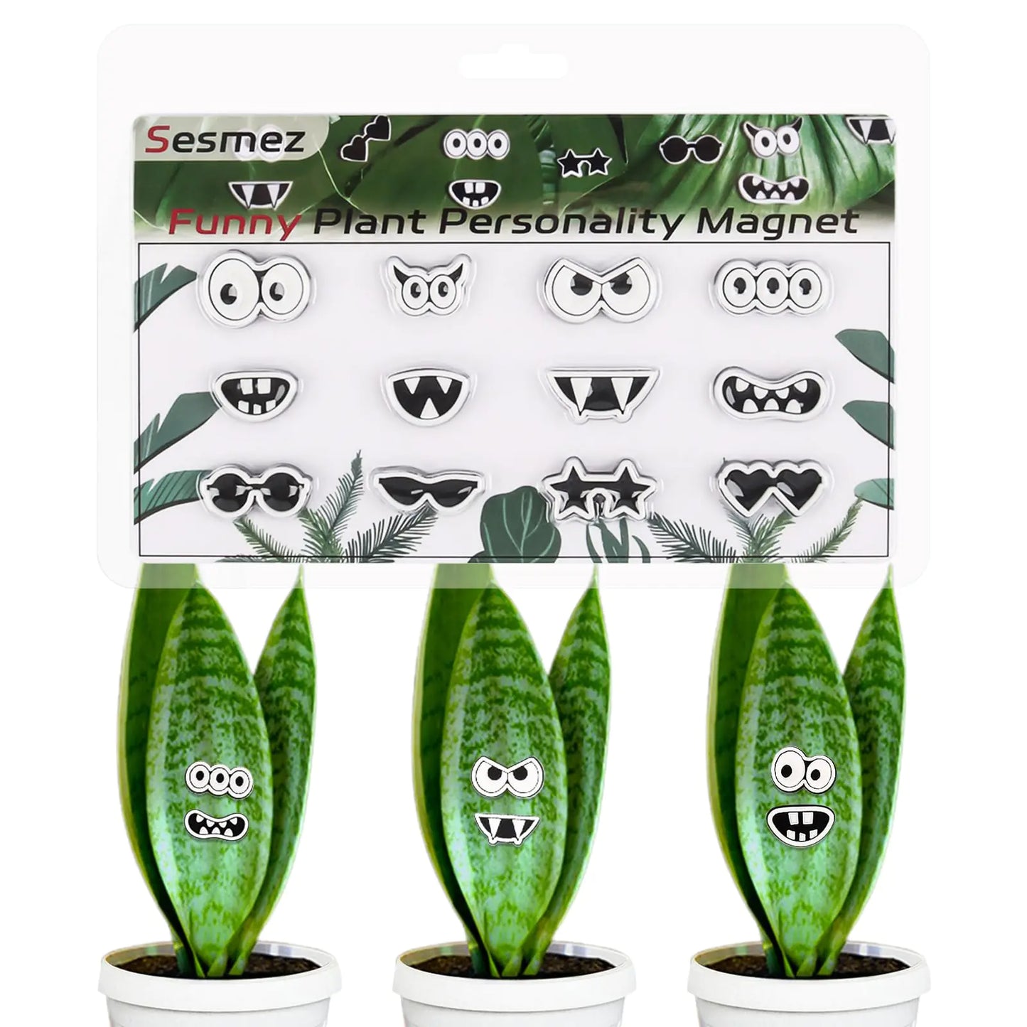 Plant Magnets Eyes