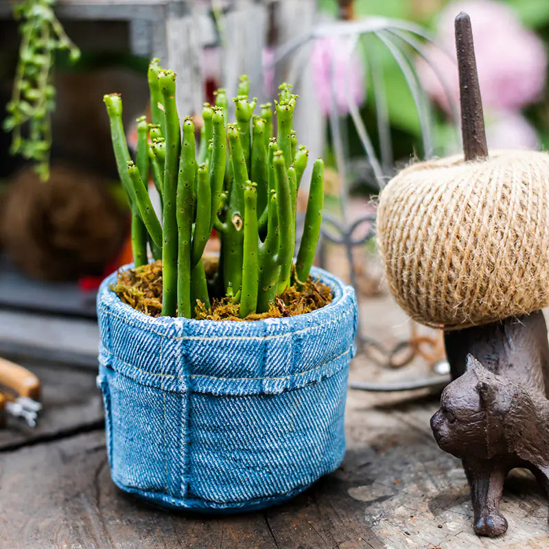 Denim Pocket Planter