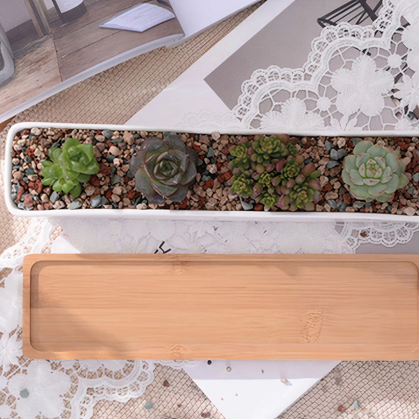 Ceramic Long Succulent Pot