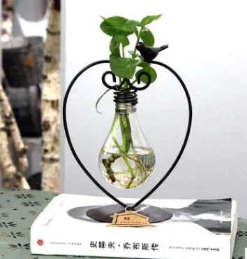Modern Hydroponic Glass Vase