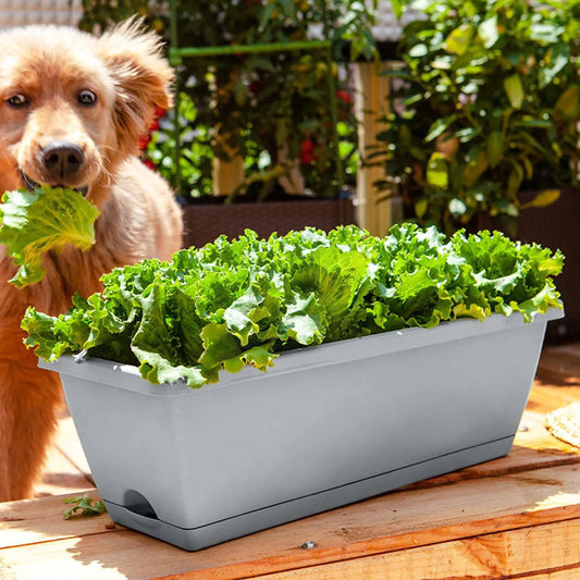 Hollen Rectangular Balcony Garden Planters
