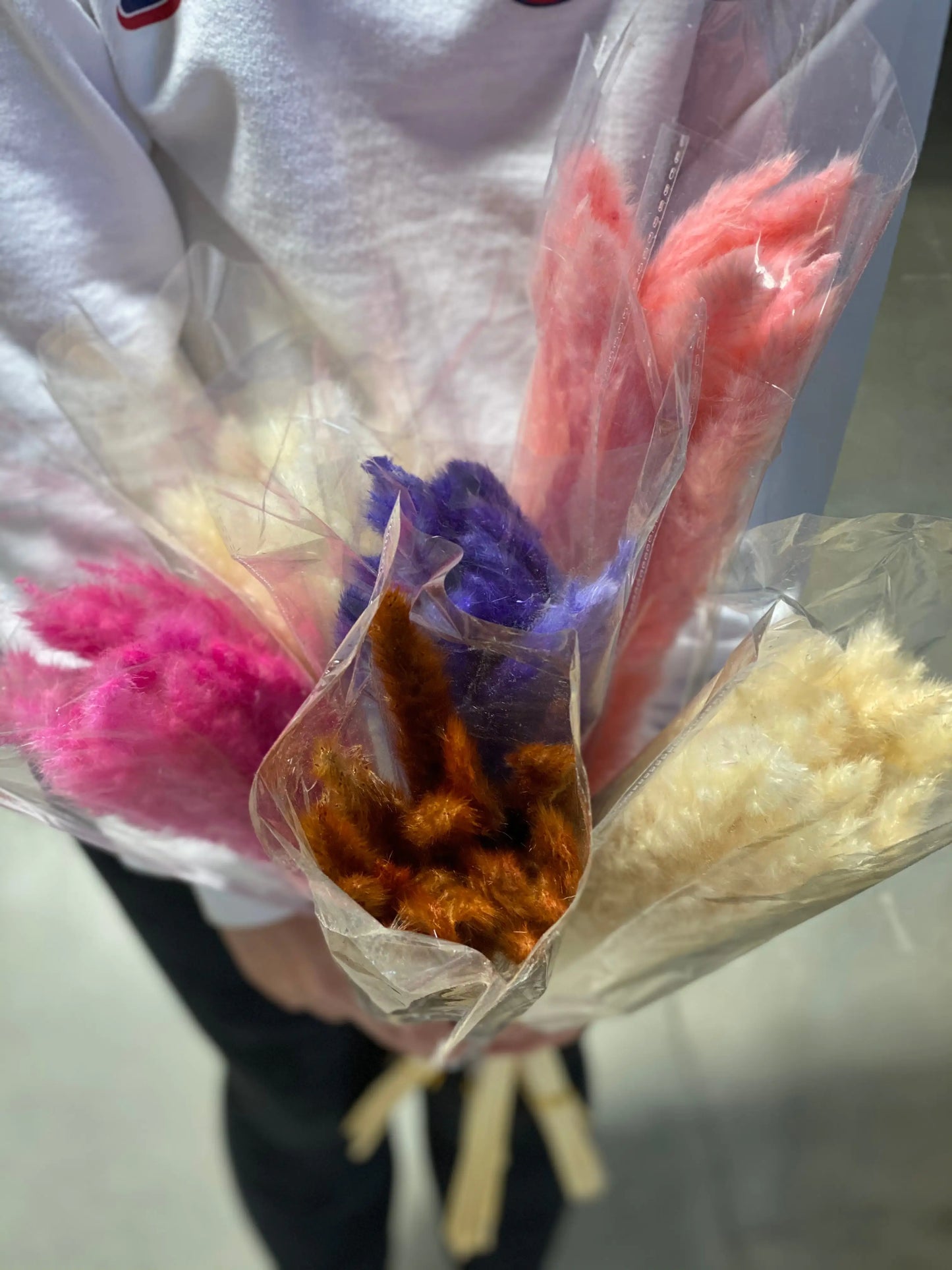 Floriva Preserved Flowers - Pampas