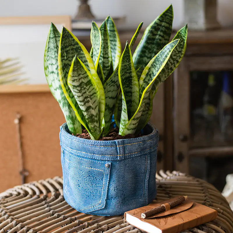 Denim Pocket Planter