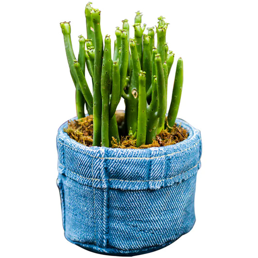 Denim Pocket Planter