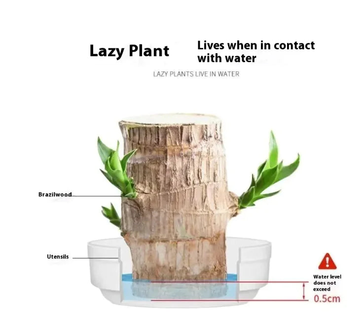 Plant Holder