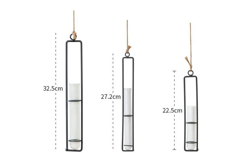 Plant Hydroponic Container and Decorative Hanger