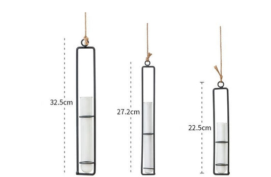 Plant Hydroponic Container and Decorative Hanger