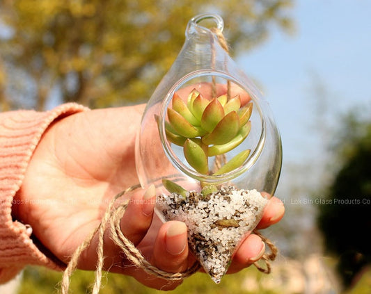 Glass Hydroponic Container, Hanging Flower Pot Decor