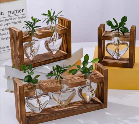Creative Transparent Plant Medium Wooden Stand with Hydroponic Container