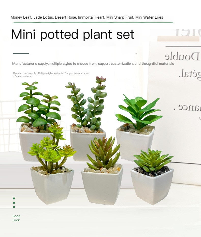 Miniature Faux Succulent Cactus Indoor Plant Pot