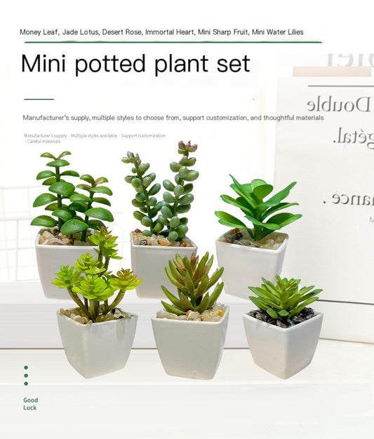 Miniature Faux Succulent Cactus Indoor Plant Pot