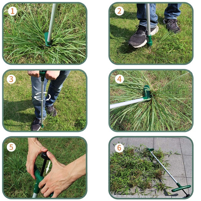 Walensee Weed Puller