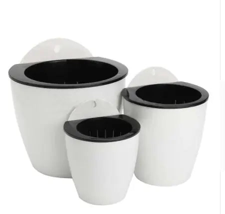 Dino Egg Self-Watering Planter