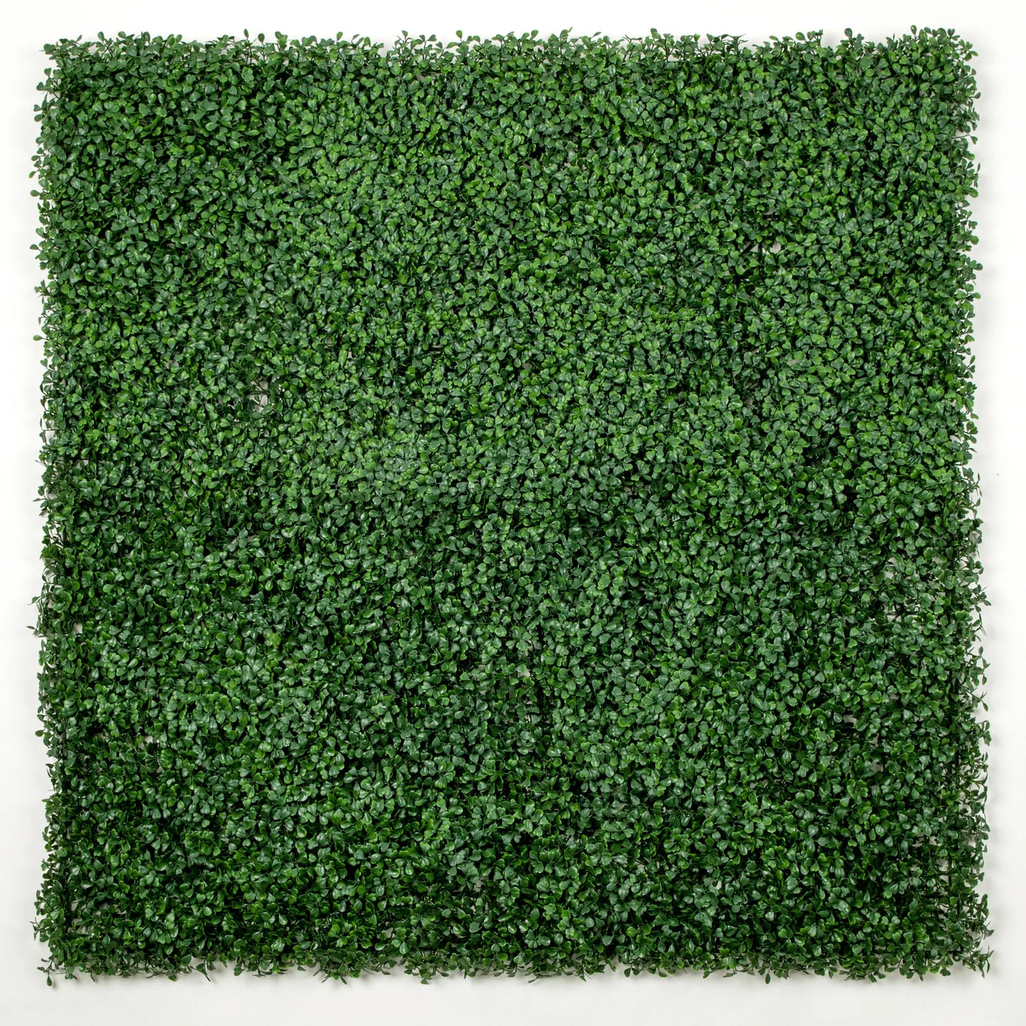 Eternal Green Boxwood Panel 40x40