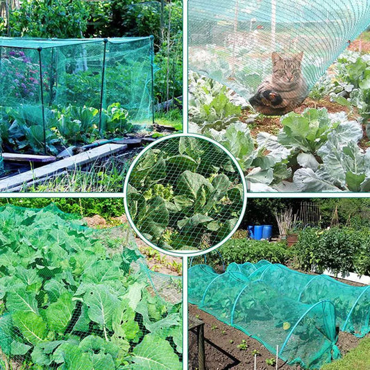 Veggie Protect Anti-Bird Mesh