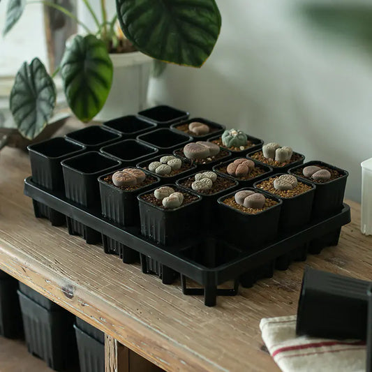 Square Gardening Pot Tray