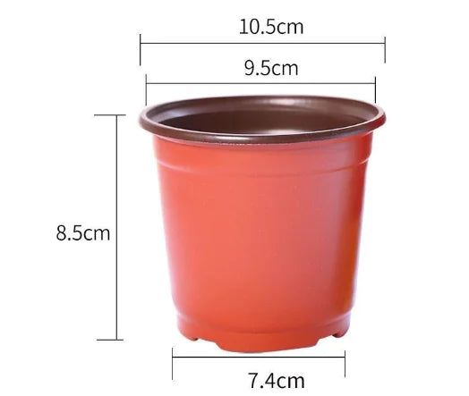 Durable Plastic Two-Color Seedling Pots and Trays