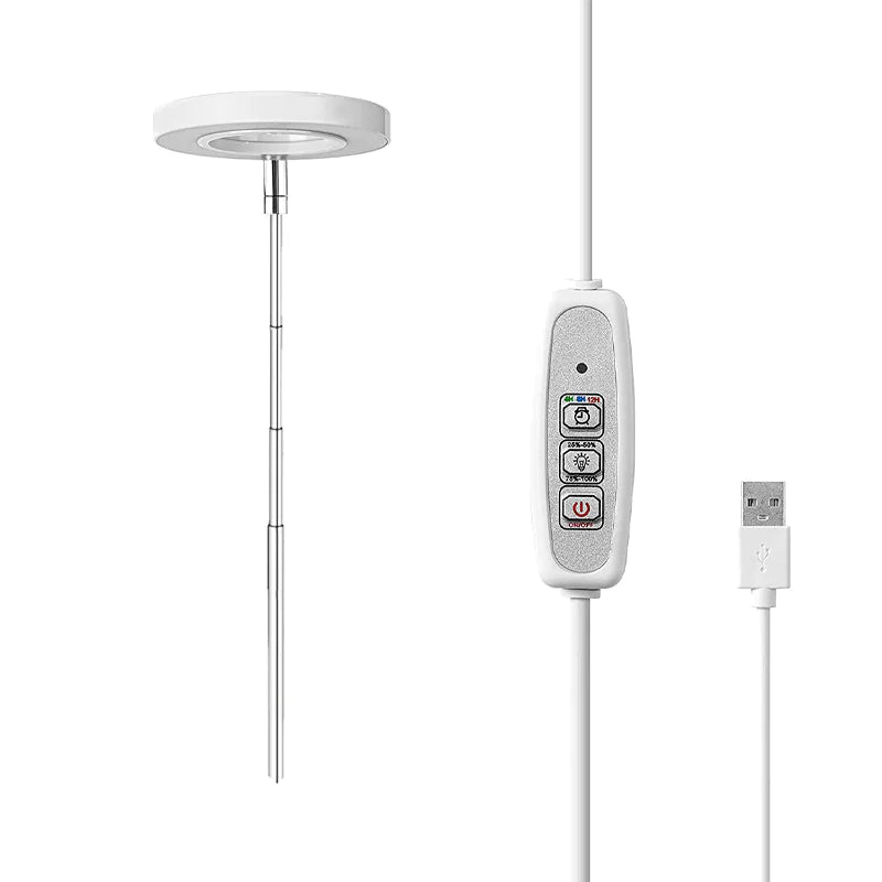 Garden Glow USB Lamp