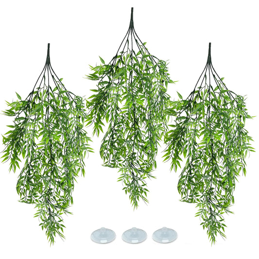 Terrarium Trio Plant Set with Suction Cups