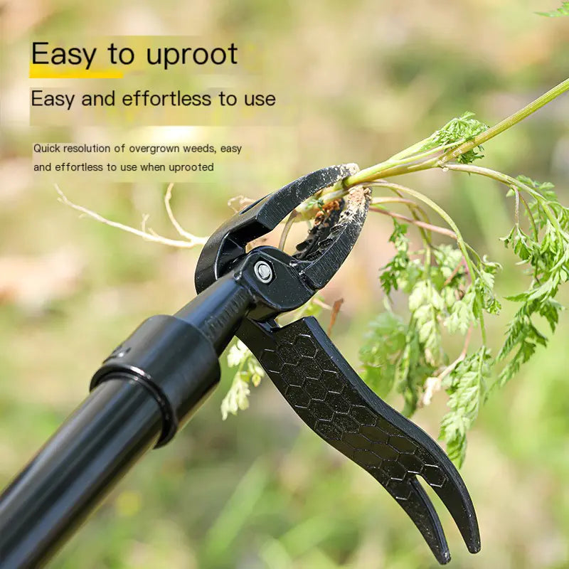 Effortless Weed Extractor