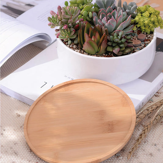 Chic Ceramic Pot