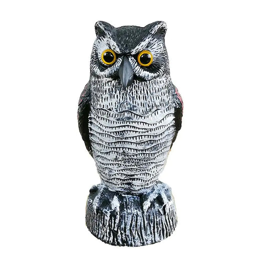 Small Owl