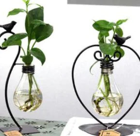 Modern Hydroponic Glass Vase