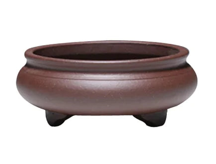 Mini Potted Plant