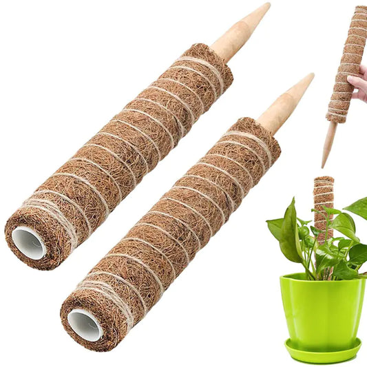 Handmade Moss Pole for Climbing Plants and Monstera