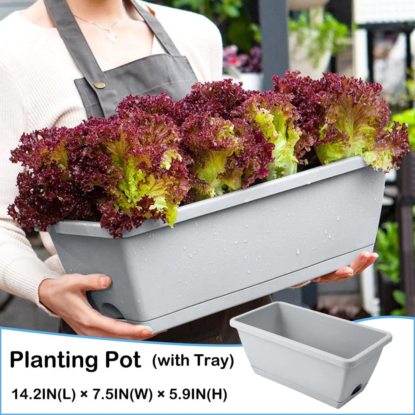 Hollen Rectangular Balcony Garden Planters