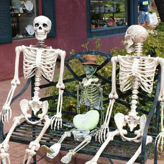 Realistic Skeleton Model