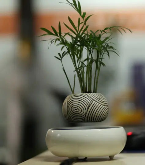 Floating Potted Plant