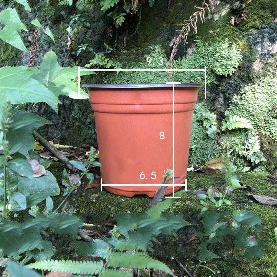 Durable Plastic Two-Color Seedling Pots and Trays