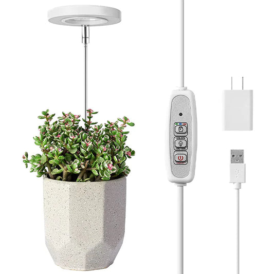 Garden Glow USB Lamp