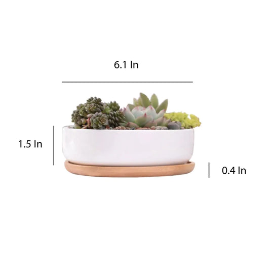 Chic Ceramic Pot
