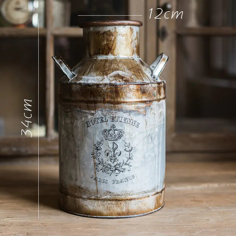 Rusty Metal Bucket Planter