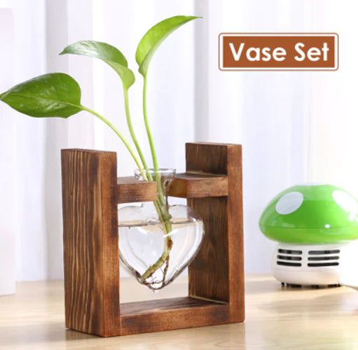 Creative Transparent Plant Medium Wooden Stand with Hydroponic Container