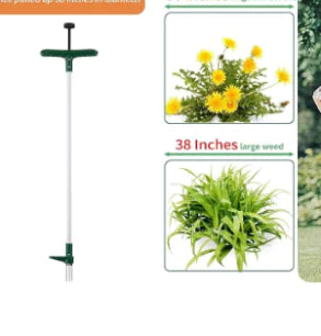 Walensee Weed Puller