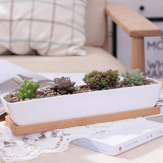 Ceramic Long Succulent Pot