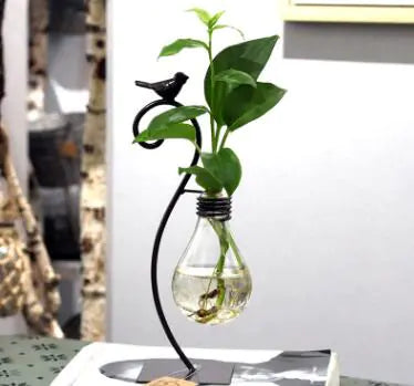 Modern Hydroponic Glass Vase